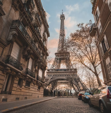 France: performance analysis 2020-21 – more stable than bonds, equity ETFs